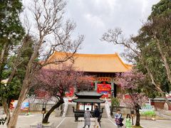 -在路上酒吧(大理古城店)