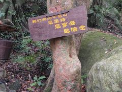 -七仙岭温泉国家森林公园