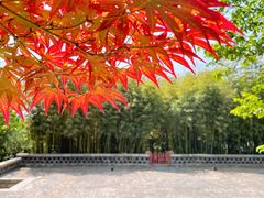 -泰山风景名胜区-普照寺