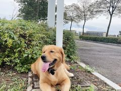 -阳澄湖半岛旅游度假区