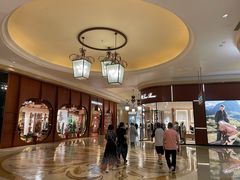 -澳门威尼斯人综合度假区