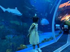 -成都浩海立方海洋公园