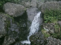 -瓦屋山景区