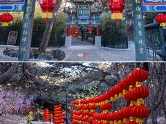 -红螺寺