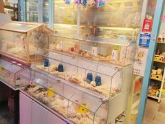-宝鸡东道花鸟鱼虫市场(吉利花园商场店)