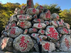 -龙道沟景区