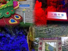 -鸡冠洞风景区