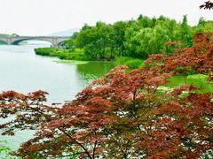 -长广溪湿地公园