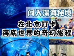 -太平洋海底世界