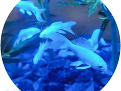 -常州海昌海洋探索馆