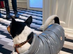 -MONCLER(北京SKP概念店)