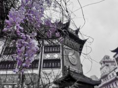 -豫园