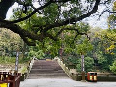 -普陀山风景名胜区-法雨禅寺