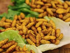 -丰尔粥食·顺德鱼生·干蒸排骨顺德菜(大良分店)