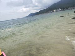 -杨梅坑