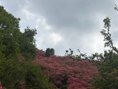 -木兰云雾山