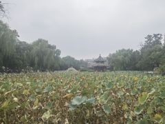 -莲池书院博物馆