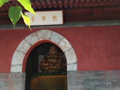 -北京上方山国家森林公园
