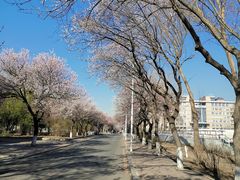 -吉林大学(南岭校区)