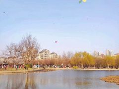 -泰丰公园