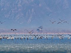 -野鸭湖国家湿地公园