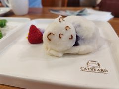 -猫小院猫主题餐厅(三里屯店)