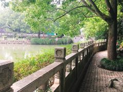 -汇龙潭