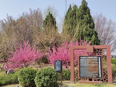 -元大都城垣遗址公园