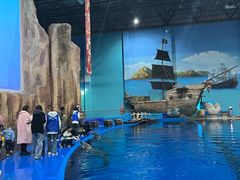 -华夏文旅海洋公园