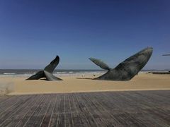 -烟台金沙滩海滨公园