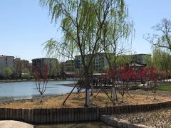 -西海子公园