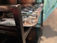 -涿派·炝锅鱼(涿州店)