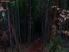 -南京市无想山景区