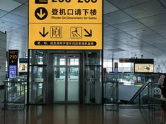 -郑州新郑国际机场-T2航站楼