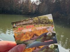 -上海海湾国家森林公园