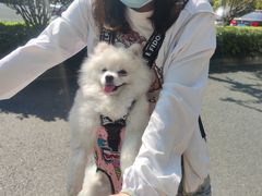 -佳雯宠物医院·皮肤科·内外科(春晓路分院)