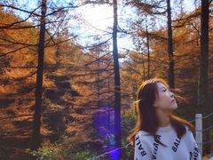 -秦岭风景区