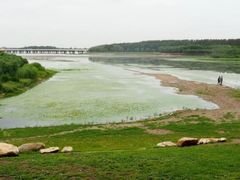 -丁香湖公园