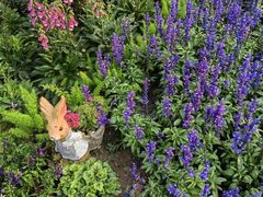 -人民公园(罗湖区)