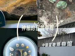 -中国湿地博物馆