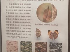 -天津自然博物馆
