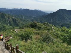 -大岭沟猕猴桃谷风景区