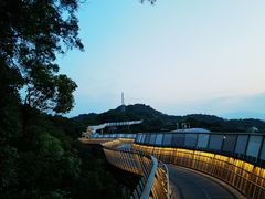 -福道
