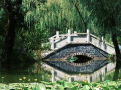 -郑州植物园
