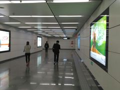 -大望路(地铁站)