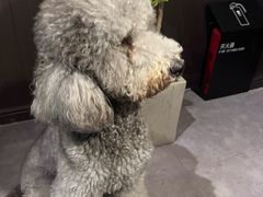 -沏点Trattoria意大利餐厅(新街口店)