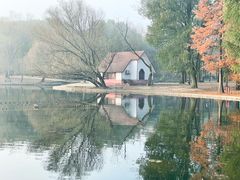 -上海共青森林公园