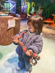 -酷嗒动物文化乐园(cutezoo西溪乐天城店)