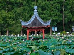 -东湖生态旅游风景区