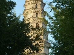 -祥源·阜阳生态乐园